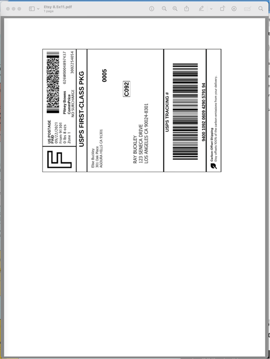 Troubleshooting Incorrect Label Sizing on ZSB Series Printers